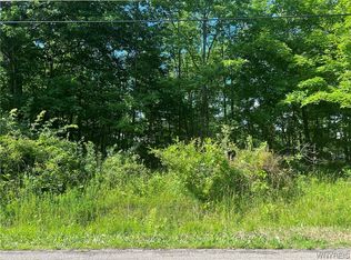 184 Rosewood Ave, Angola, NY 14006
