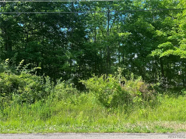 184 Rosewood Ave, Angola, NY 14006