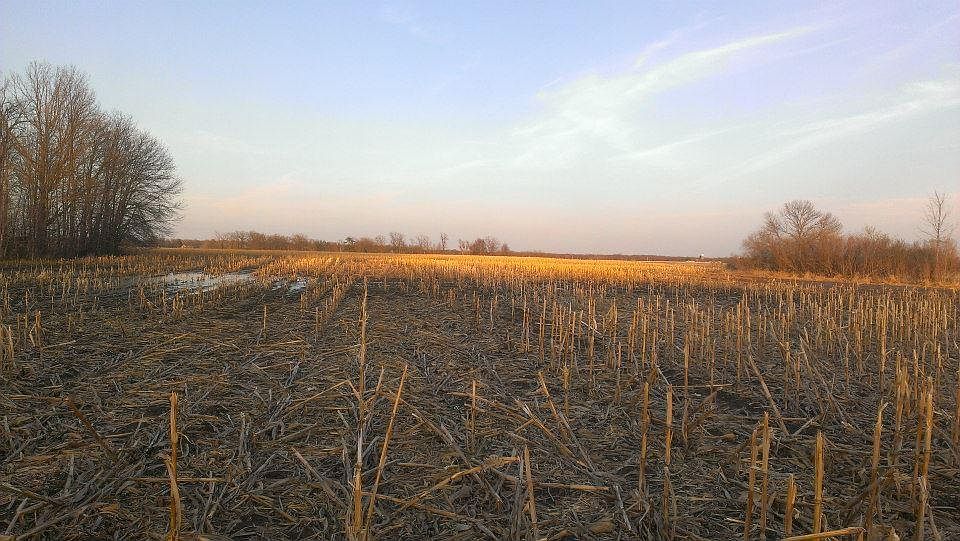 1st image of 16 Five 102 Mille Lacs Country