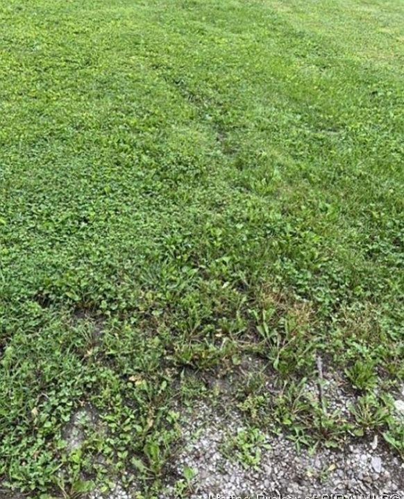 2nd image of  White Oak Circle