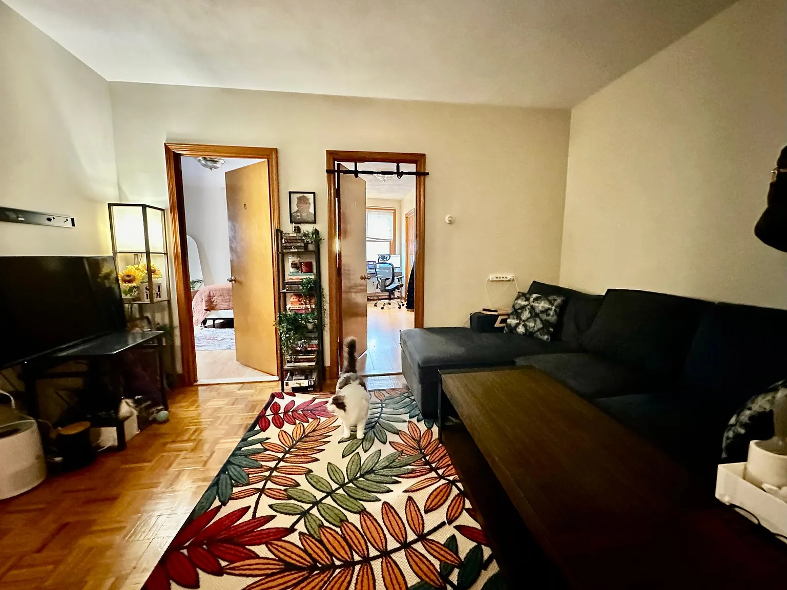 1 bed, $2,500 — Photo 3