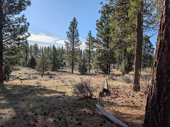 5th image of 28660 Yonna Wood Rd