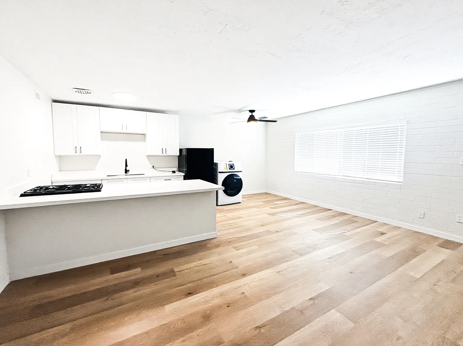 1 bed, 700 sqft, $1,100 — Photo 3