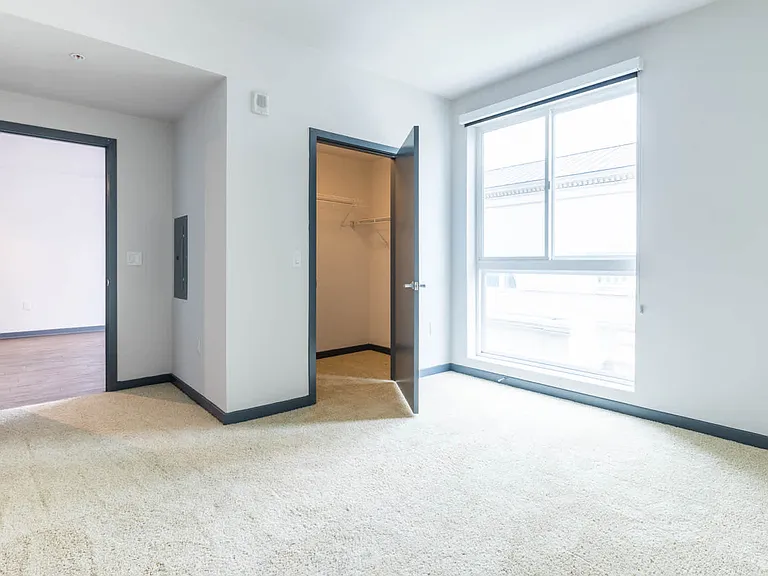 Carpeted Bedroom
