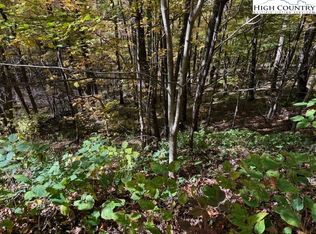 Lot 677 Three Top Trailhead Access Road, Creston, NC 28615