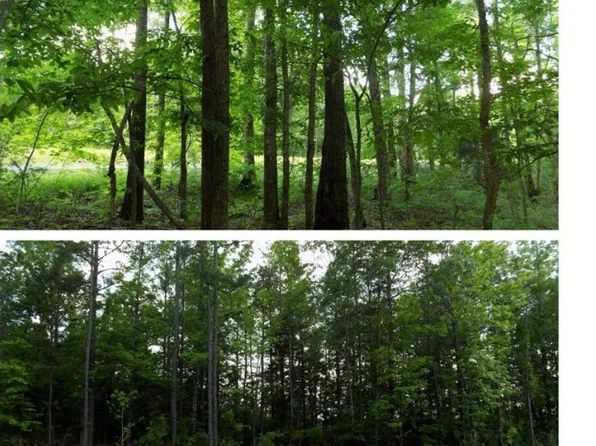 6030 Garner Rd, Tuscaloosa, AL 35405