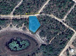 LOT 75 Citrus Dr, Interlachen, FL 32148