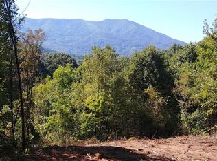 0 Plott Valley Rd #5089, Waynesville, NC 28786