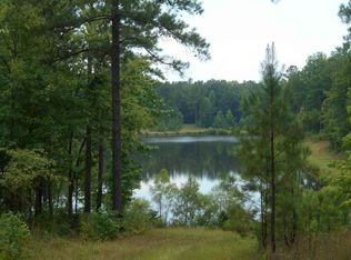 6200 State Highway 11 S, Hillsboro, GA 31038