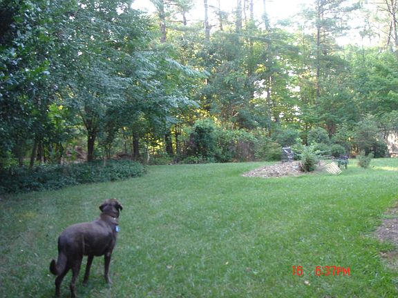 From side to back lawn