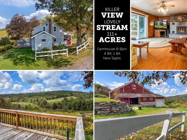 3415 County Highway 14, Franklin, NY 13775