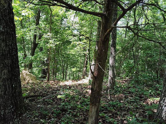 5th image of 0 Hixson Rd