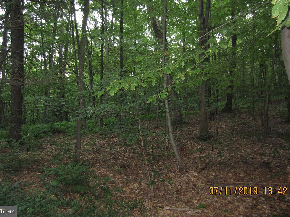 1st image of Tax Id Mountain #220-184.00-008.00