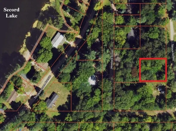 Lots 23 24 Spruce St, Alger, MI 48610