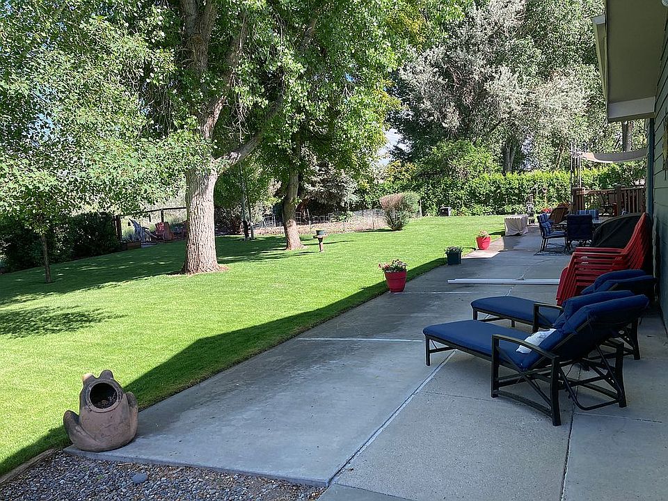 Backyard view 