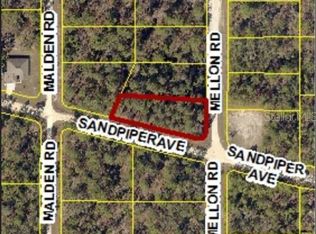 11285 Sandpiper Ave, Brooksville, FL 34614