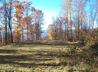 42 Black Bear Ln, Whittier, NC 28789