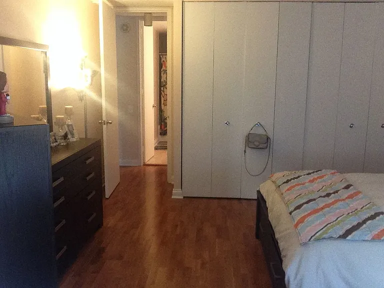 535 N Michigan Ave #506 — Photo 7