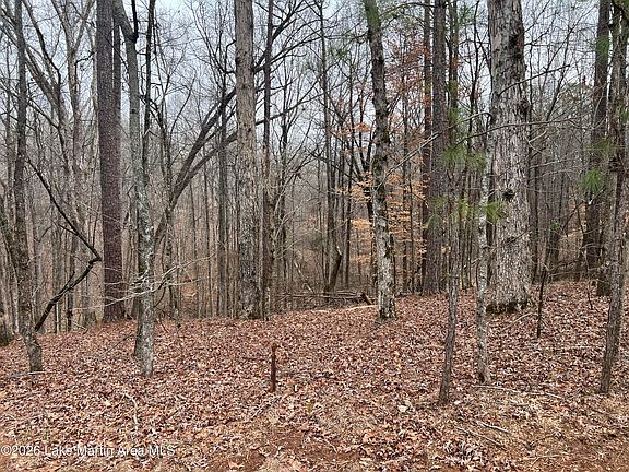 3rd image of 34 Deer Hollow Trl