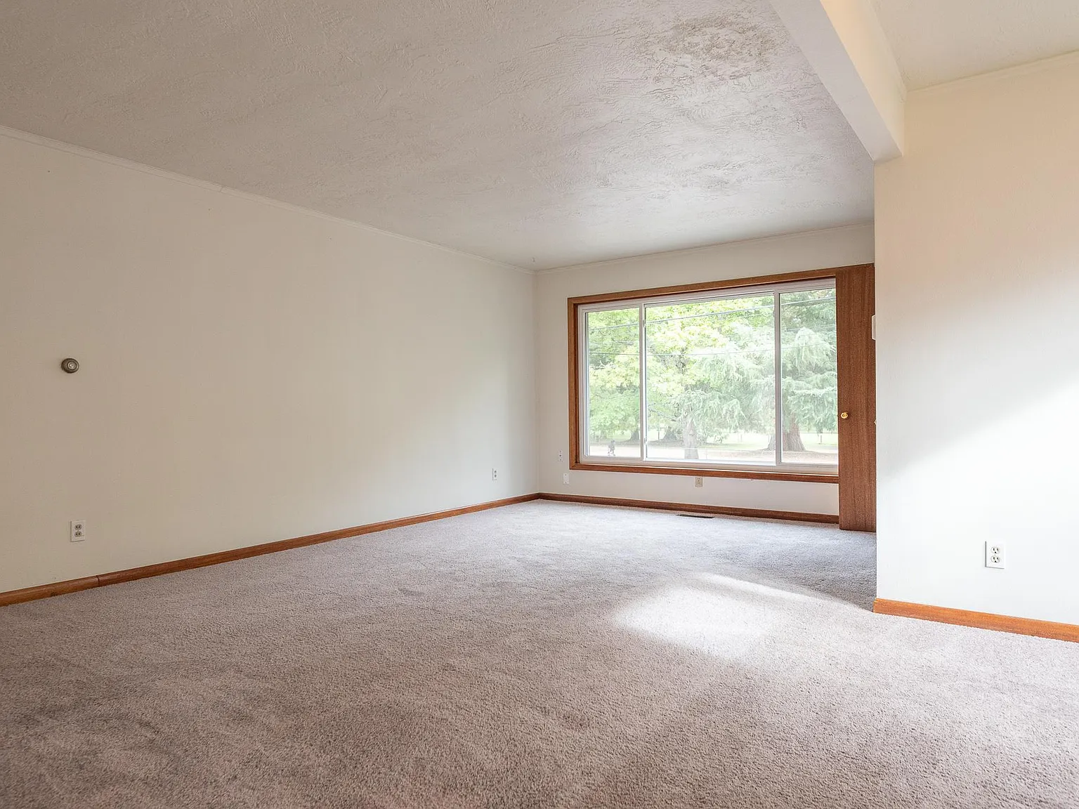 1 bed, 1300 sqft, $2,250 — Photo 2