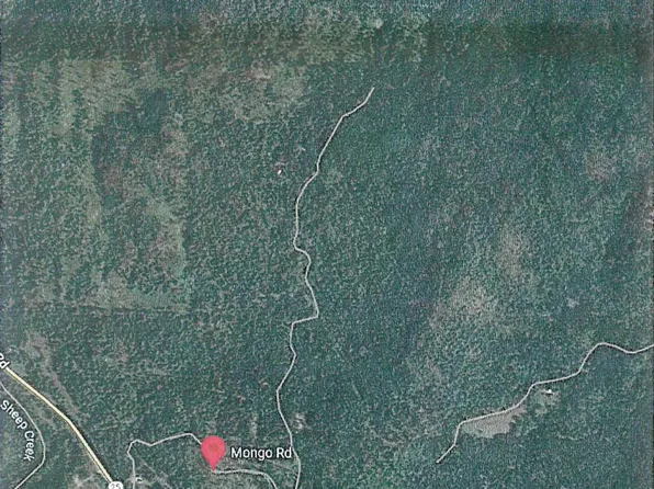 Mongo Rd, Northport, WA 99157