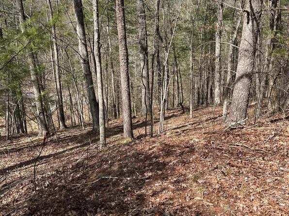 0 Chestnut Ridge Rd #455, Mount Jackson, VA 22842