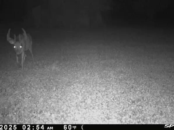 Blake Rd, Jackson, MI 49201