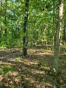 000 Highway 76, Cassville, MO, 65625