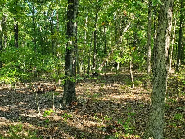 000 Highway 76, Cassville, MO 65625