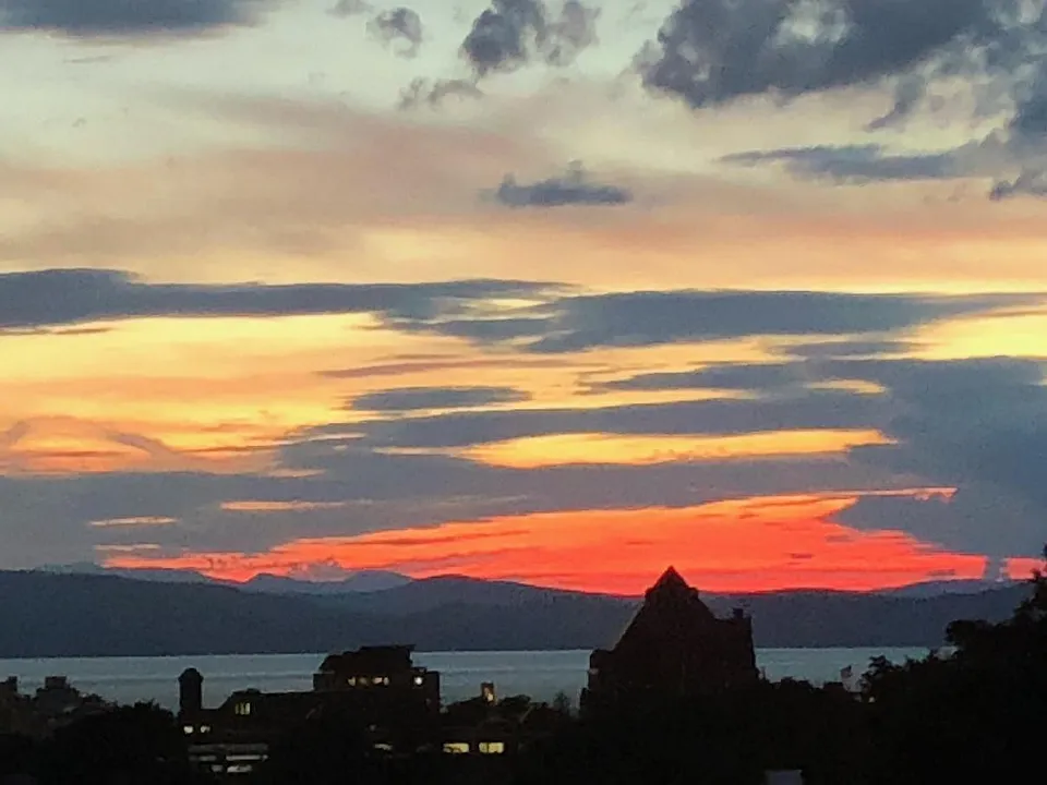 View from sunroom