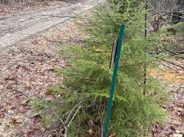 Camp Domino Trl, Hillman, MI 49746