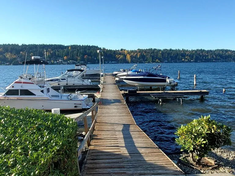 Shared Condo Dock