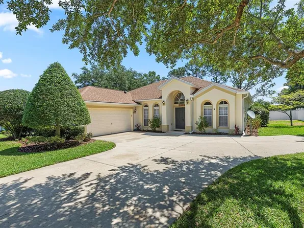13926 Wellington Ln, Grand Island, FL 32735