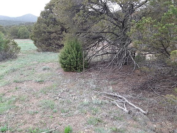 4th image of 13217 County Road 673