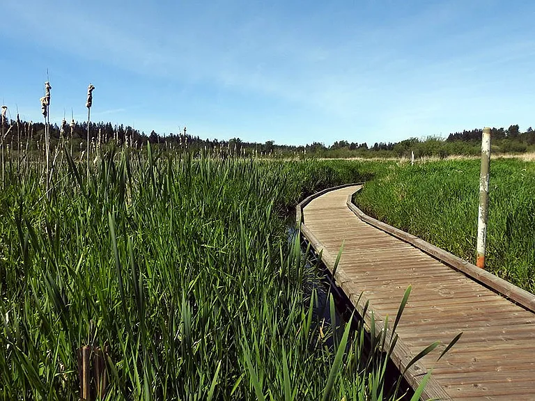 Boardwalk in North Creek Park across the street