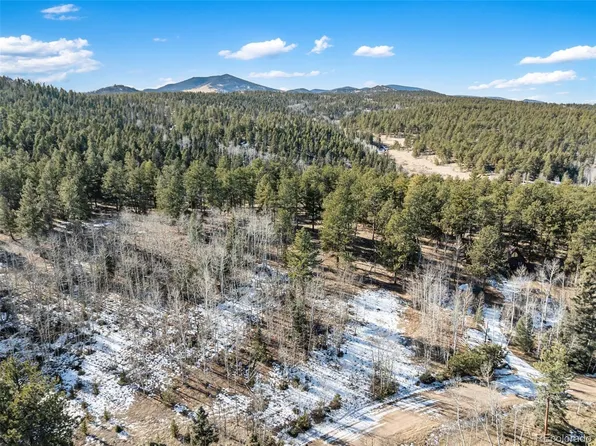 Lot 20 Echo Lake Drive, Florissant, CO 80827