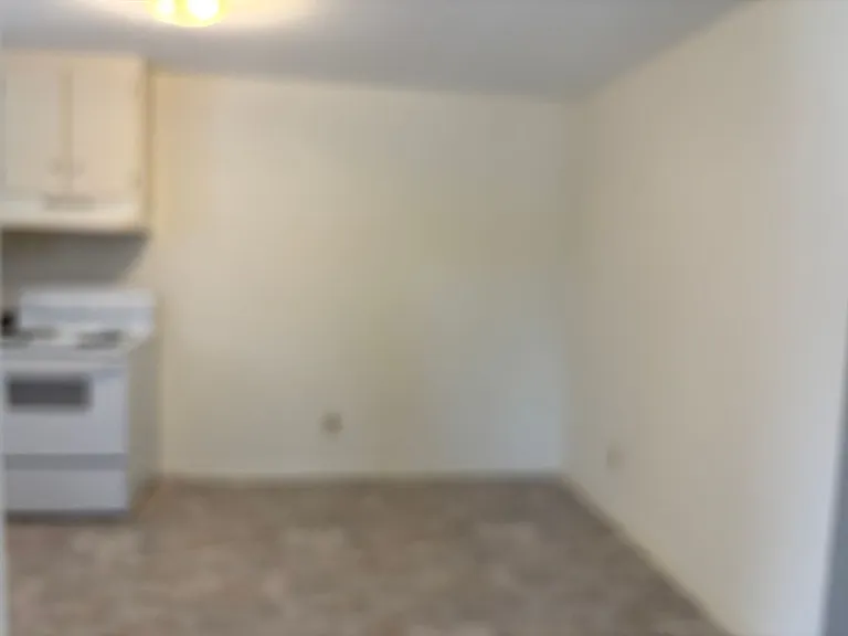 501 Live Oak St #B — Photo 6