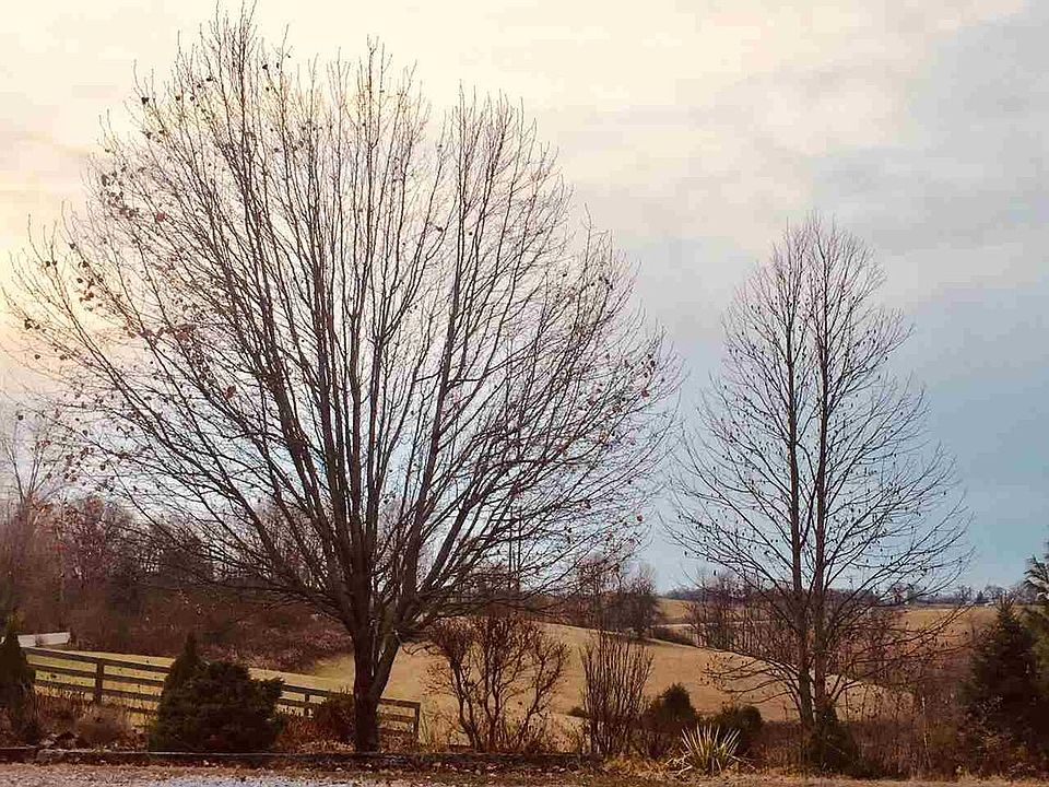 2nd image of 8270 Highway 10 N