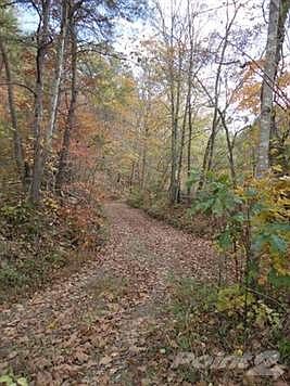 2nd image of 3333 Peter Trace Rd