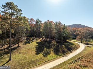 3 Spring Camp Rd, Ellijay, GA 30536