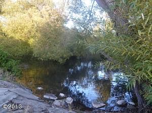 168' spring creek frontage