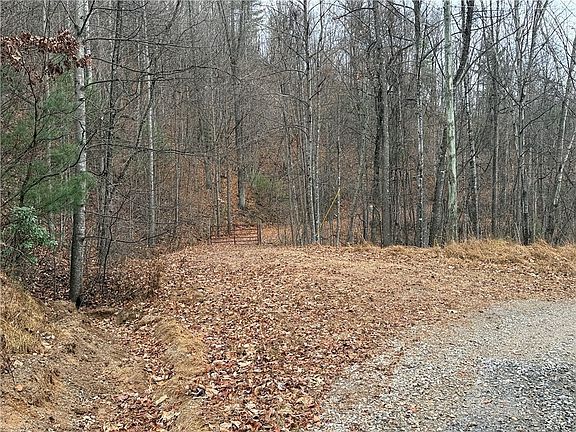 4th image of Lot 218 Casey Mountain Road