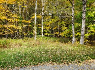 LOT 4/5 Balsam Rd, Vermontville, NY 12989