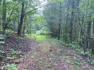 0 Sinks Rd, Blackwater, VA, 24221