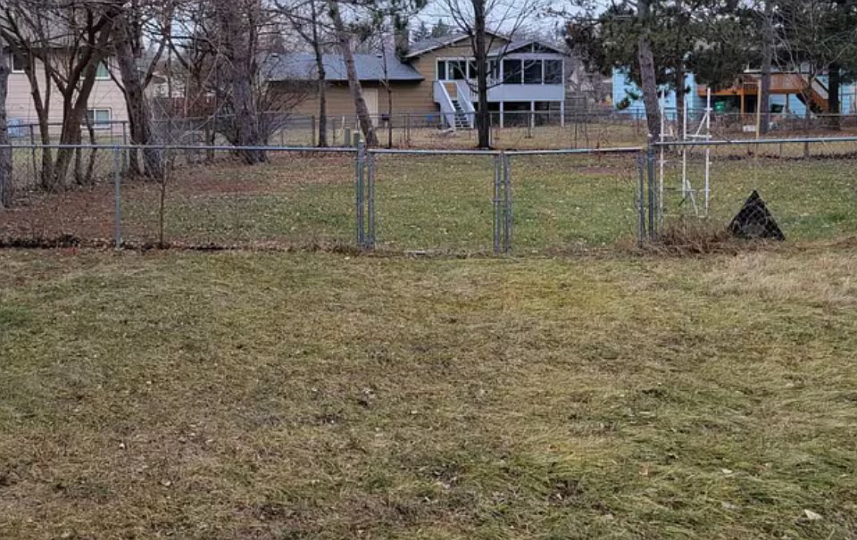 Fenced backyard