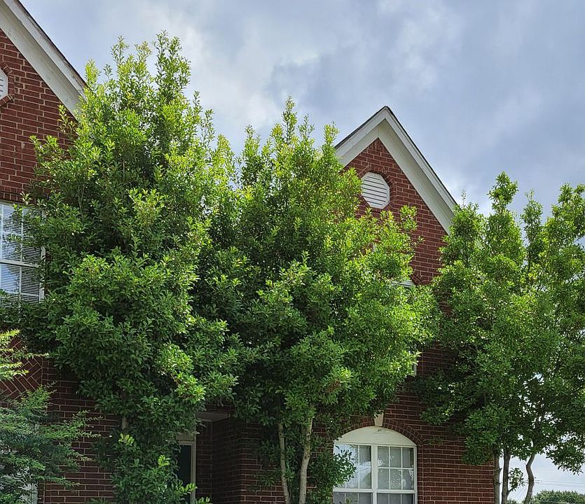 1st image of 7234 Conrail Cir
