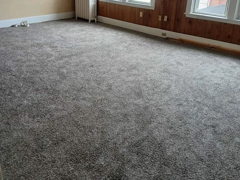 600 Ferndale Ave #2 — Photo 5