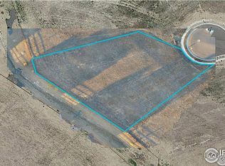 1505 Flowering Tree Ct, Windsor, CO 80550