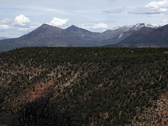 5th image of Blm Rd