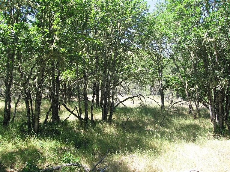 2nd image of 0 Foothill Blvd